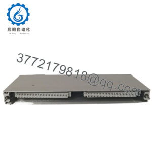 146031-01