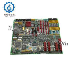 DS200TCQAG1BHF-W01