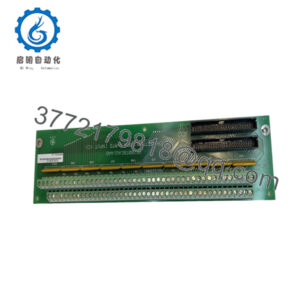 DS200TBCAG1AAB