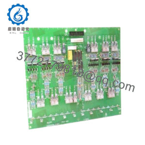 DS200FCRLG1A