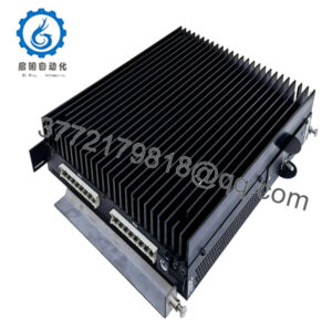 IS2020RKPSG1AI-REP