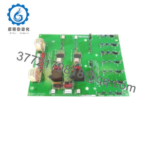 DS200SHVMG1A
