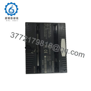 IC200ALG263D