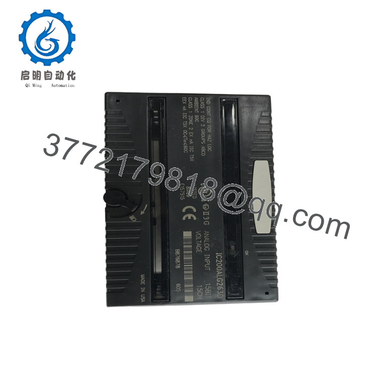 IC200ALG263D