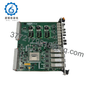 PIB504