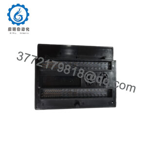 IC200ALG260