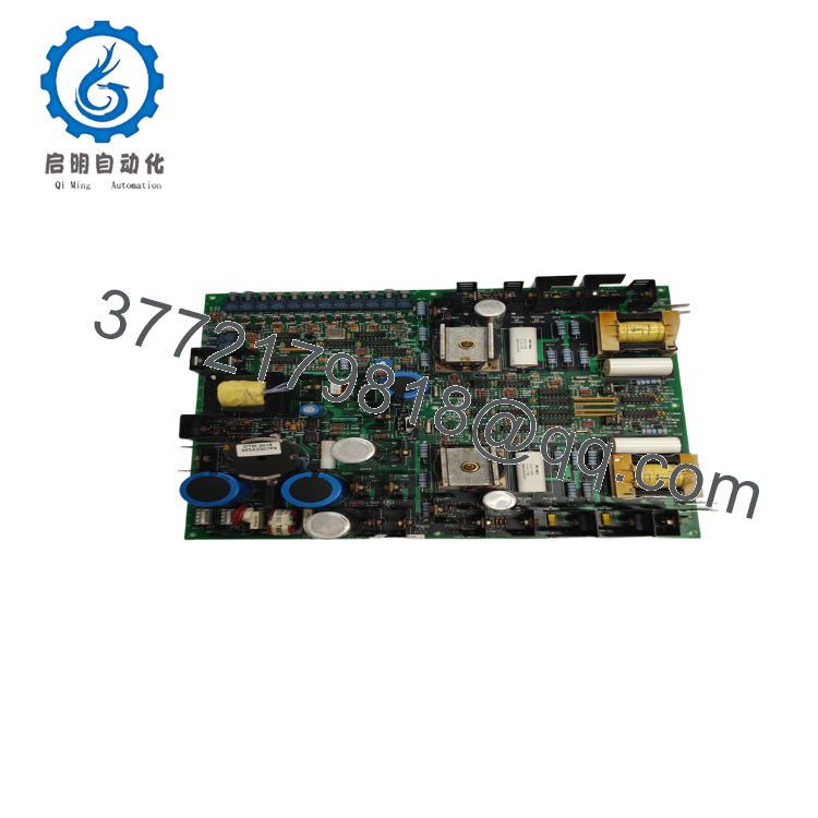 DS200FGPAG1A