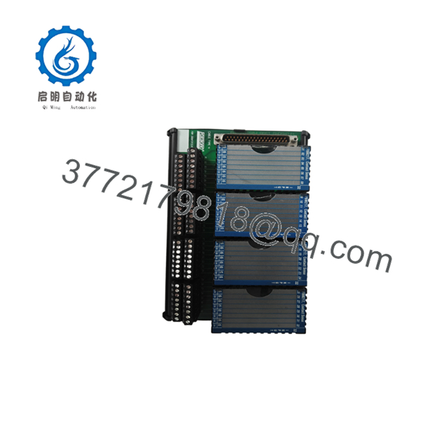 FBM217 RH916XZ