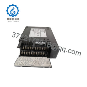 IC693ALG220