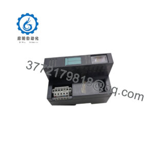 5136-DNS-200S
