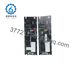 IC693CHS398G