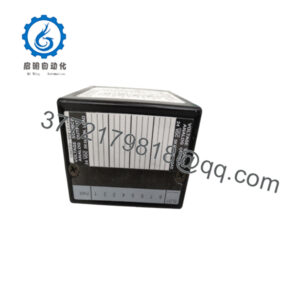 IC670ALG310
