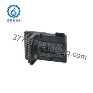 IC200CHS022