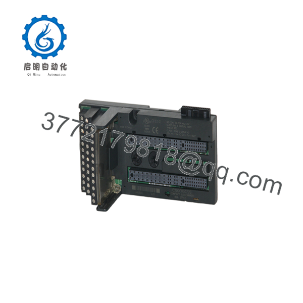IC200CHS022