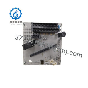 CC-TAIN01