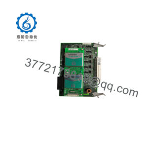 AMM42