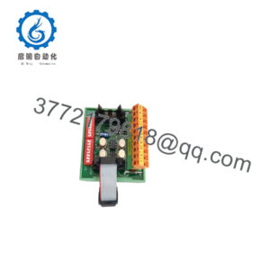 BSL-100
