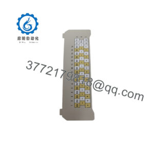 1C31238H01