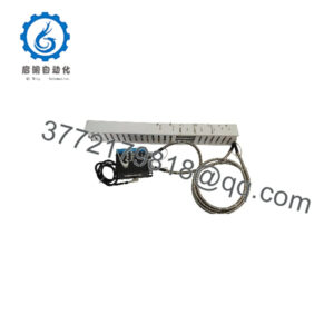 F267 4000636