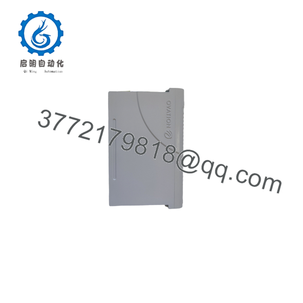 1C31219G01