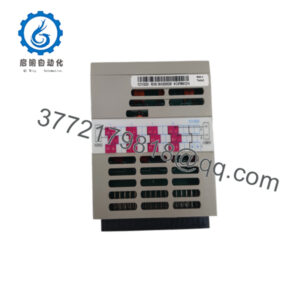1C31132G01