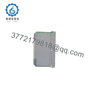 1C31219G01