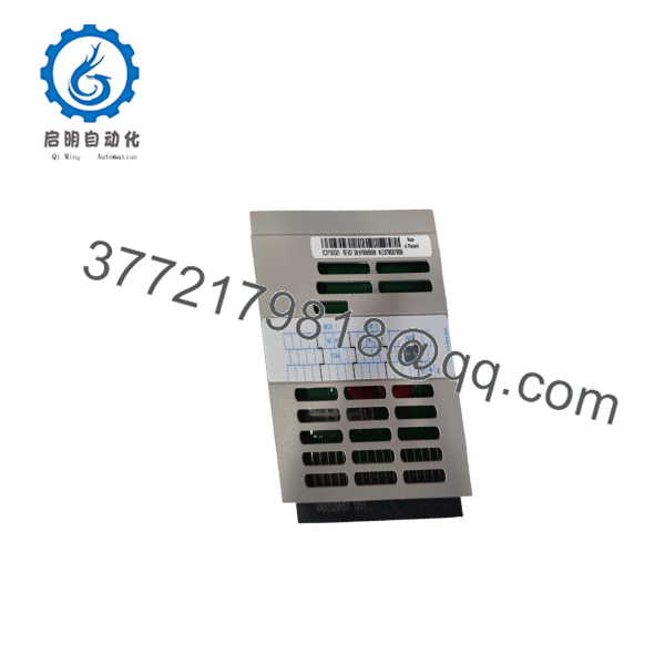 1C31192G01