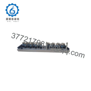 1C31223G01