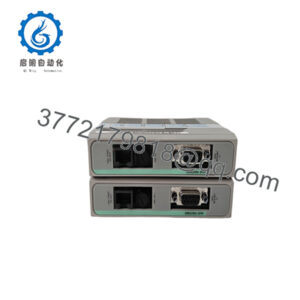 1C31197G01